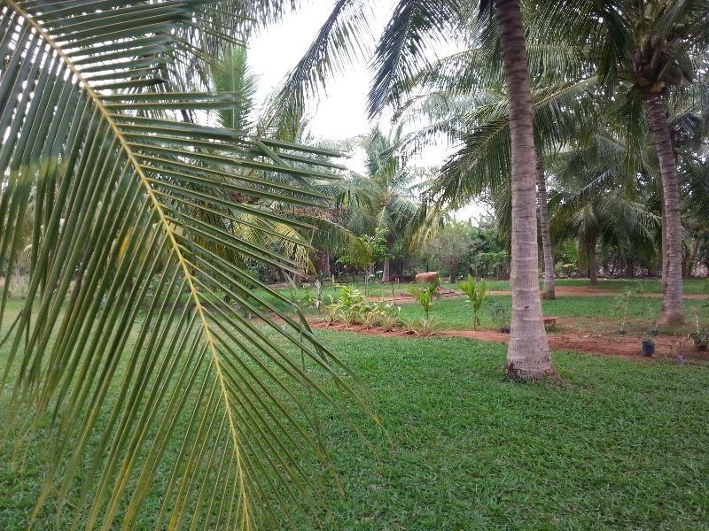Serenity Lake Resort Yala Tissamaharama Dış mekan fotoğraf