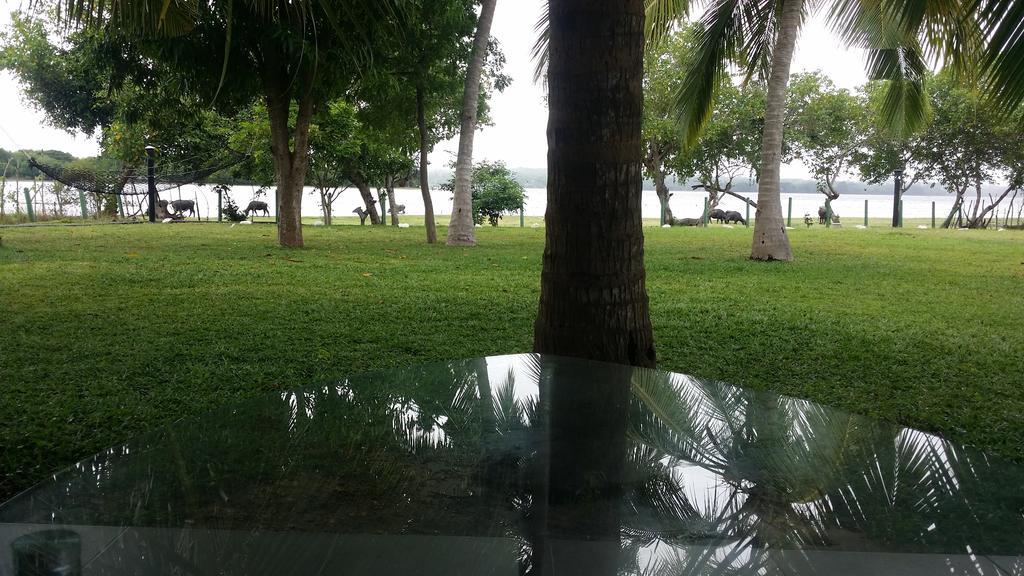 Serenity Lake Resort Yala Tissamaharama Dış mekan fotoğraf