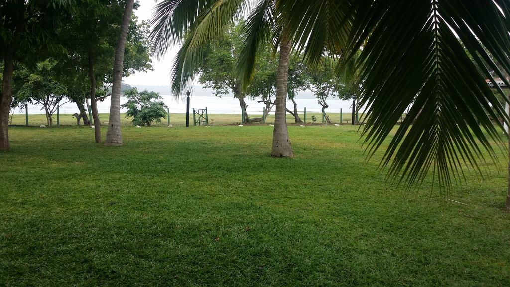 Serenity Lake Resort Yala Tissamaharama Dış mekan fotoğraf