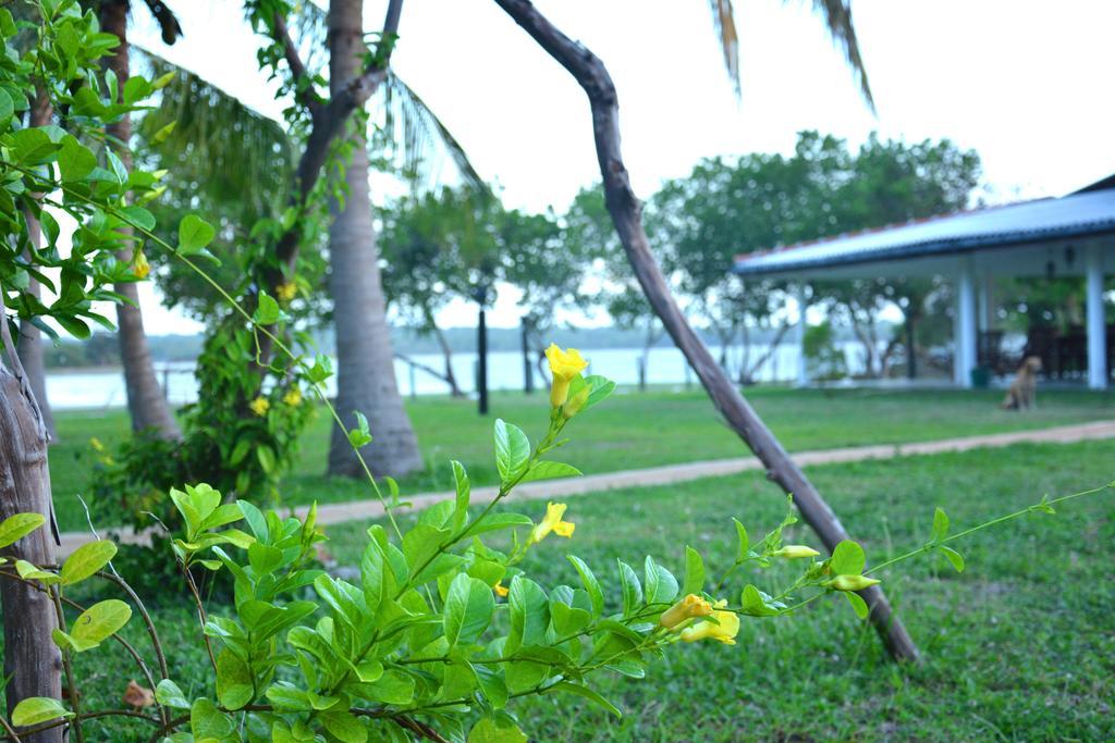 Serenity Lake Resort Yala Tissamaharama Dış mekan fotoğraf