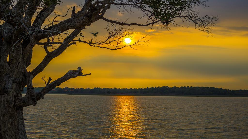 Serenity Lake Resort Yala Tissamaharama Dış mekan fotoğraf