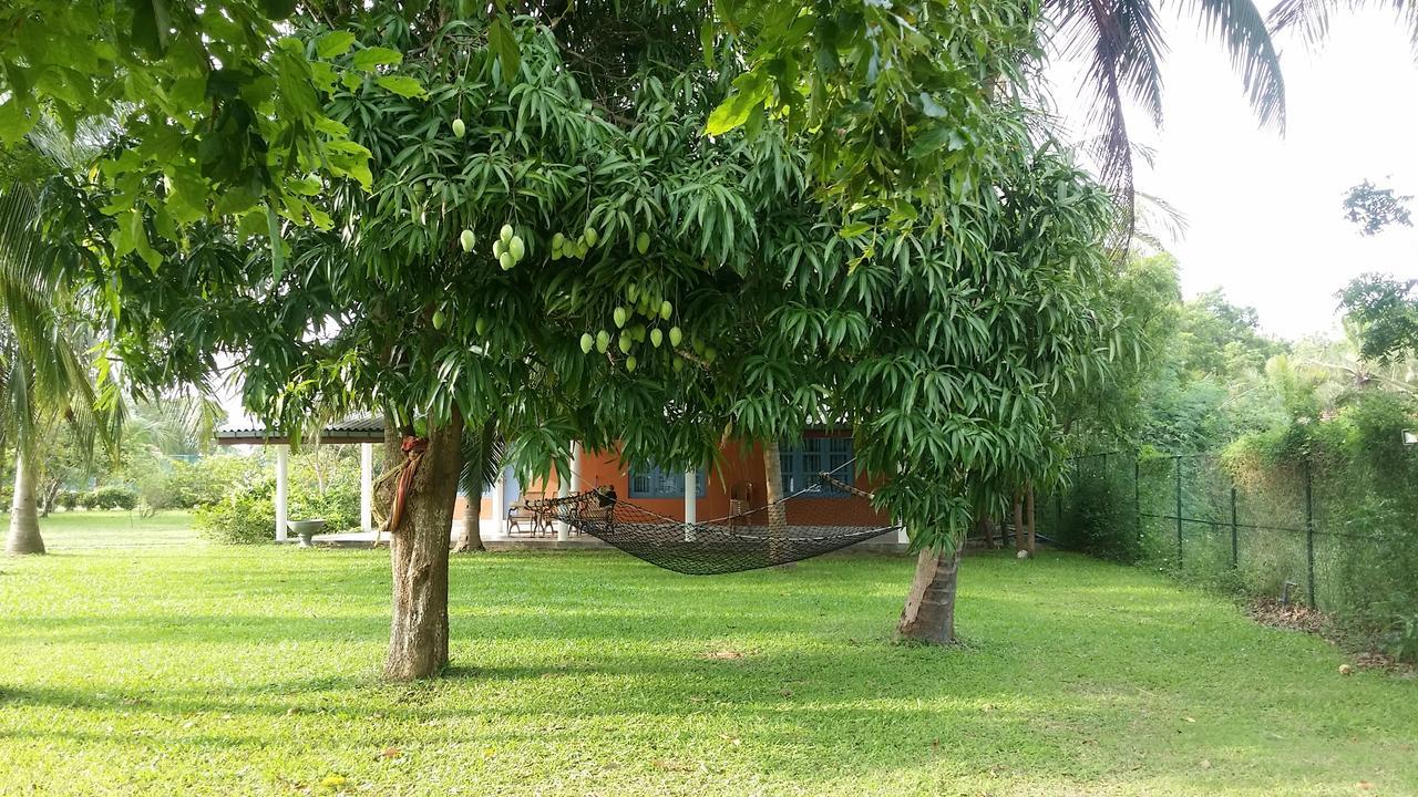 Serenity Lake Resort Yala Tissamaharama Dış mekan fotoğraf